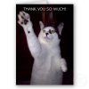 kitty_cat_thank_you_card-p137362840368057616bfo0b_400.jpeg