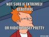futurama-fry-meme-generator-not-sure-if-extremely-beautiful-or-ridiculously-pretty-63d830[1].jpg