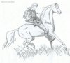 elfish horse rider by jamie.jpg