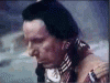 Single Tear Native American.gif