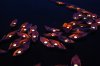 sf-09-origami-boats-and-candles.jpg