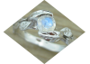 silverleafring.png
