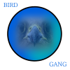 Bird Gang Logo.png
