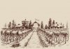 vineyard-drawing-etch-style-farm-entrance-and-vine-vector-10277128.jpg