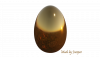 Golden_Egg_by_Jazzper Forums.png