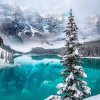 beautiful-winter-josepinejackson-41683118-750-750.jpg