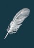 a-bird-feather-embossed-silver-on-dark-slate-gray-serge-averbukh (2).jpg