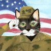 armycat3-1000-300x300.jpeg