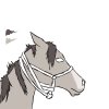 HorseWIP.jpg
