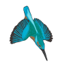 kingfisher.png